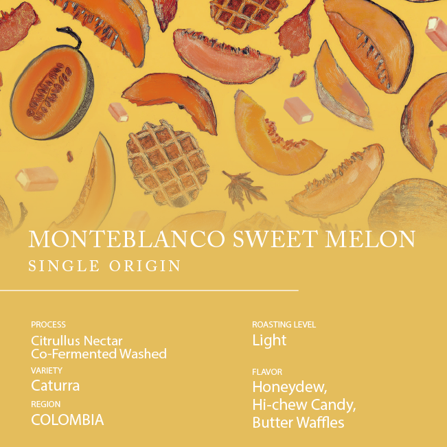 Single Origin - COLOMBIA Monteblanco Sweet Melon