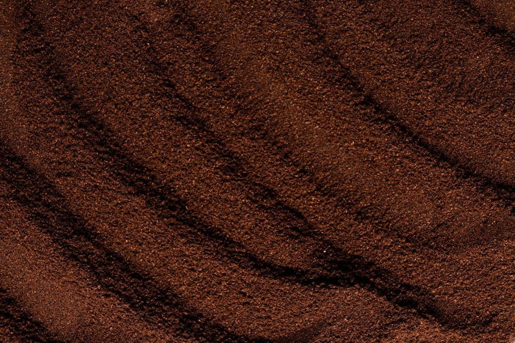 Light, Medium or Dark Roast: Which One Should You Choose?