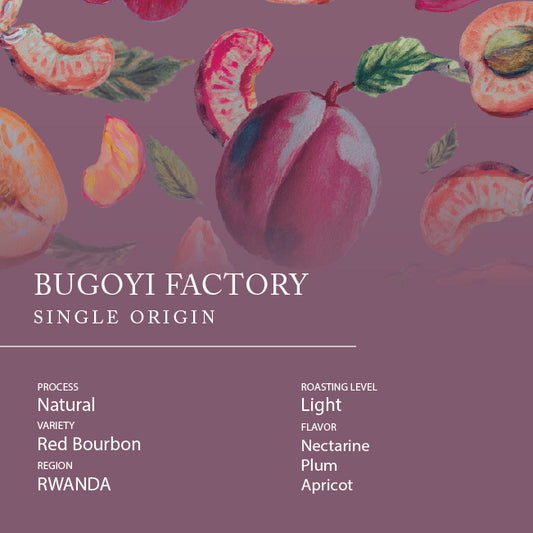 Single Origin -  RWANDA Bugoyi Factory