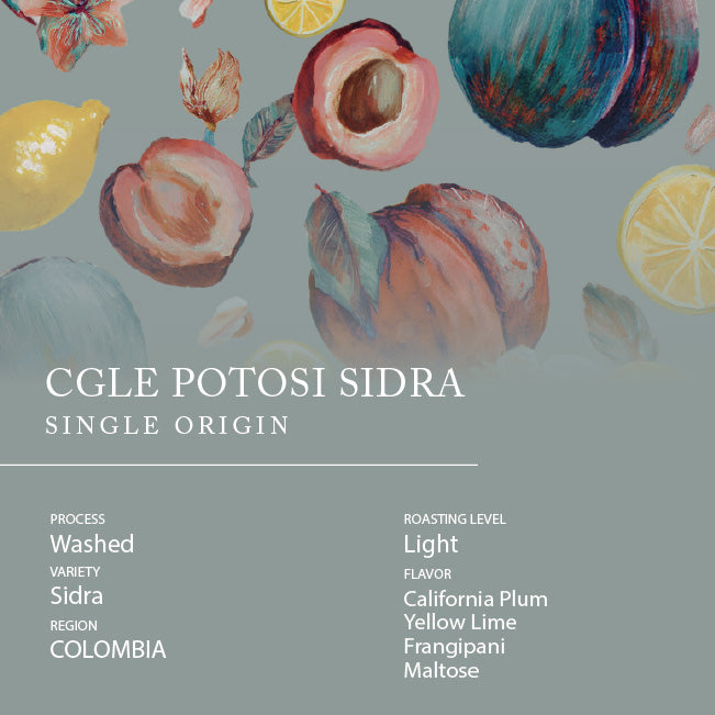 Single Origin -  COLOMBIA CGLE Potosi Sidra