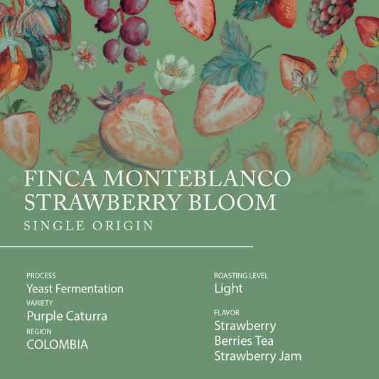 Single Origin -  COLOMBIA Monteblanco Strawberry Bloom
