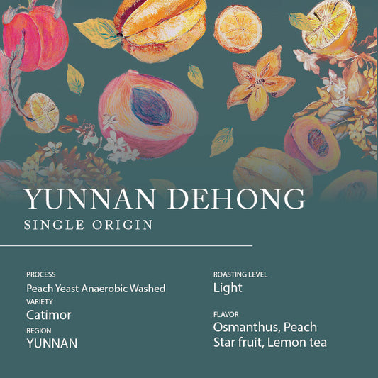 Single Origin - YUNNAN DEHONG