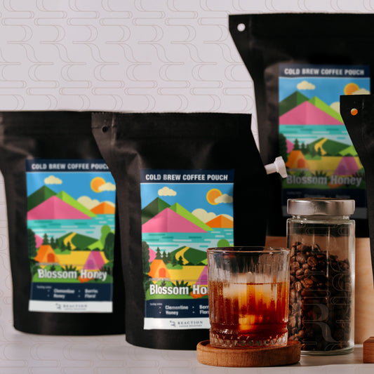 【NEW】Cold Brew Bag - Blossom Honey (2pcs)
