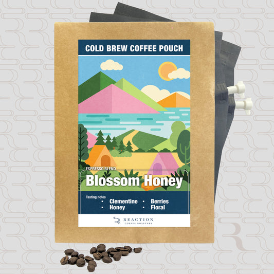 【NEW】Cold Brew Bag - Blossom Honey (2pcs)